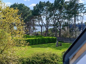 Plante, Ciel, Nuage, Communauté Des Plantes, Arbre, Lot Terre, Ombre, Herbe, Paysage Naturel, Paysage