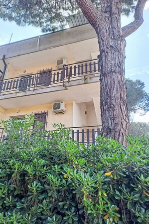 Plantas Leñosas, Balcón, Sombra