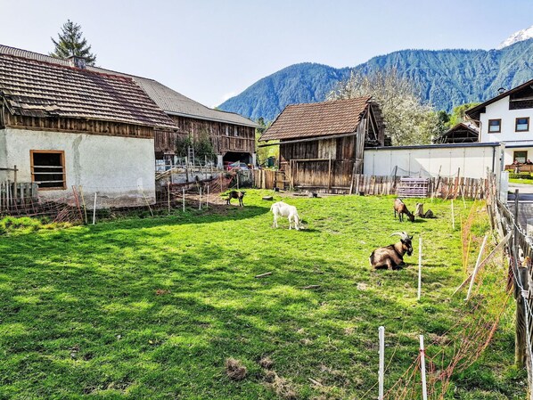 Himmel, Pflanze, Gebäude, Eigentum, Ökoregion, Natur, Fenster, Natürliche Landschaft, Haus, Berg