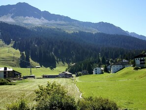 Plante, Ciel, Nuage, Bâtiment, Arbre, Bois, Lot Terre, Fenêtre, Zone Résidentielle, Loisir