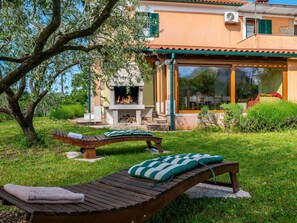 Plant, Building, Window, Outdoor Bench, Nature, Botany, Blue, Shade, Tree, Outdoor Furniture