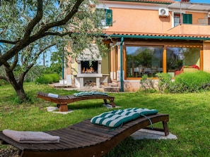 Plant, Building, Window, Outdoor Bench, Nature, Botany, Blue, Shade, Tree, Outdoor Furniture