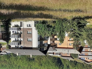 Plante, Bâtiment, Fenêtre, Architecture, Arbre, Design Urbain, Herbe, Lot Terre, Végétation, Biome