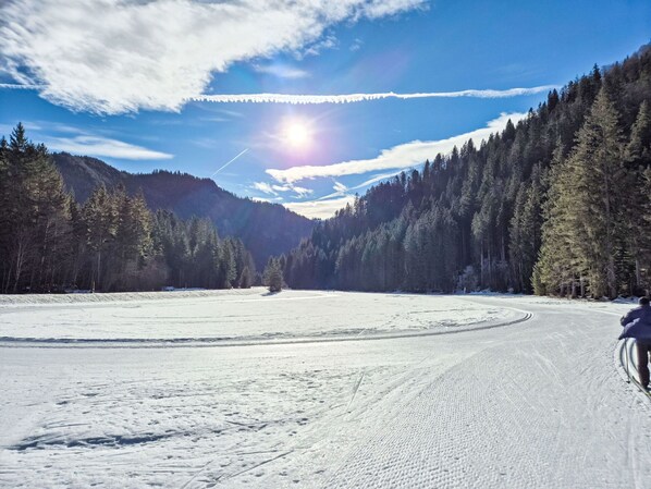 Winter, Schnee, Baum, Wildnis, Einfrieren, Wald, Terrain, Steigung, Lärche, Gebirge