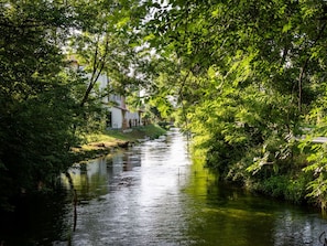 Wasser, Pflanze, Natürliche Landschaft, Baum, Wasserlauf, Bank, Auwald, See, Landschaft