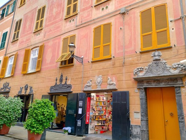 Pflanze, Eigentum, Fenster, Gebäude, Tür, Blumentopf, Orange, Gelb, Nachbarschaft