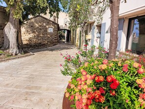 Flower, Plant, Building, Leaf, Tree, Petal, Road Surface, Biome, Grass, Wall