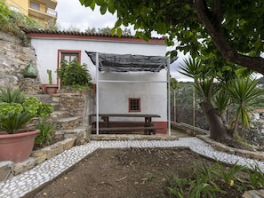 Plant, Building, Flowerpot, Window, Tree, Land Lot, Houseplant, Outdoor Bench, Shade, Grass