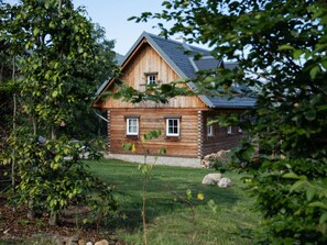 Plant, Building, Property, Window, House, Tree, Sky, Grass, Cottage, Rural Area