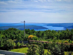 Sky, Blue, Horizon, Tropics, Evergreen