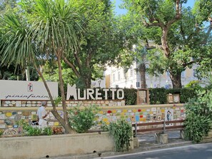 Plant, Building, Tree, Urban Design, Woody Plant, Shrub, Road Surface, Leisure, Arecales, Facade