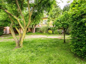 Plant, Tree, Natural Landscape, House, Grass, Building, Shade, Groundcover, Terrestrial Plant, Tints And Shades