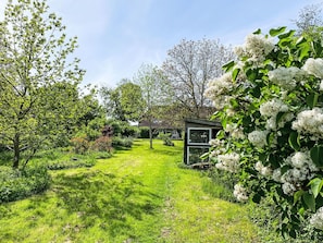 Plant, Sky, Flower, Natural Landscape, Branch, Cloud, Tree, Land Lot, Grass, Shade