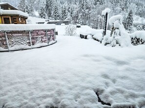 Snow, World, Plant, Branch, Tree, Freezing, Biome, Window, Neighbourhood, Morning