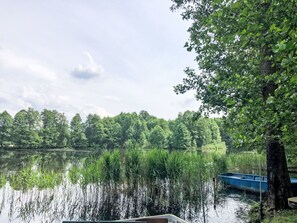 Water, Cloud, Sky, Plant, Tree, Boat, Natural Landscape, Lake, Vehicle, Biome