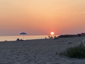 Water, Sky, Plant, Ecoregion, Afterglow, Tree, Dusk, Sunlight, Sunset, Beach
