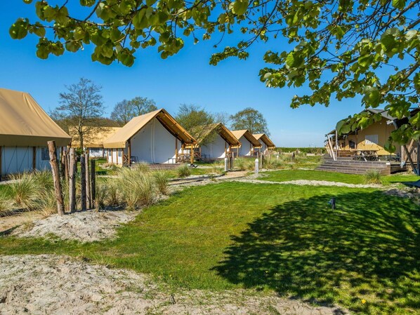 Plant, Building, Sky, Property, Natural Landscape, Tree, House, Land Lot, Grass, Shade