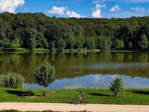 Wasser, Wolke, Pflanze, Fahrrad, Rad, Wasservorräte, Himmel, Grün, Natürliche Landschaft, See