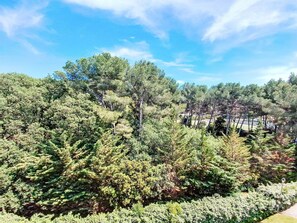 Leaf, Vegetation, Shrub, Plant Community, Woody Plant, Garden, Evergreen, Larch