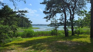 Beautiful tidal marsh views at high tide