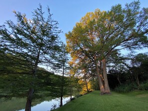 Lovely cypress trees grace the bank.