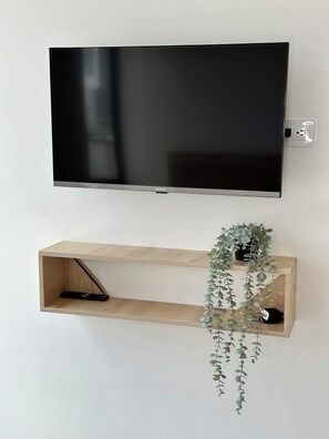 Television