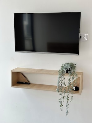 Television