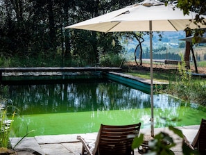 L'Eau, Plante, Paysage Naturel, Ombre, Arbre, Mobilier De Jardin, Loisir, Herbe, Chaise, Parapluie