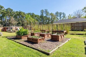 A variety of herbs are growing all around the yard - including oregano, lemongrass & rosemary - aloe vera also!