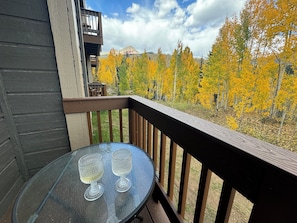 Deck views in the Fall - Cozy Aspen Grove Retreat!