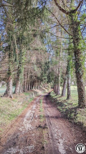Boendeområde
