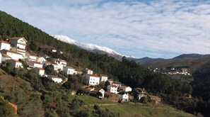 Aguincho