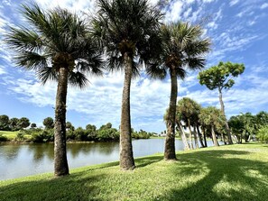 IMG_3366.jpg