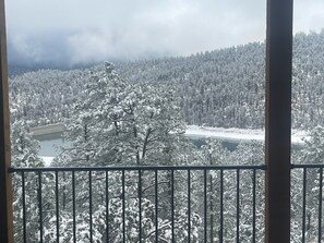 View off deck during snow storm