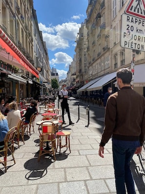 Cheerful rue de Buci is 20 paces away, but the apartment is extremely calm