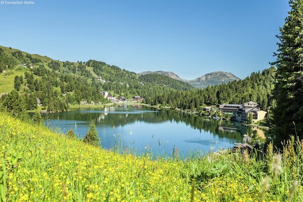Immediate Surroundings [summer] (&lt;1 km)