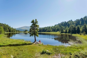 Region [summer] (&gt;5 km)