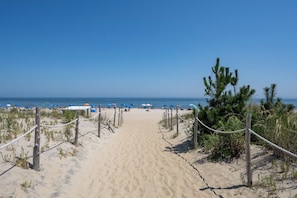 To Gorgeous Beach in the Pines