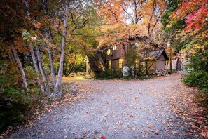 Front Yard