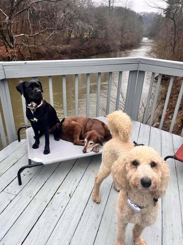 Chillin on the back deck!