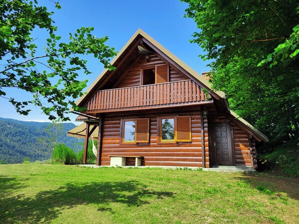 Exteriör