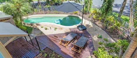 Hibiscus La -13