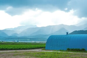 1690168643-DSCF8138