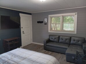 Tv, sleeper sofa