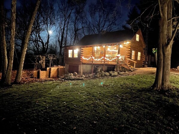 Moonlit night