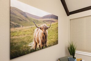How doesn't like Highland cows