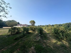 Vineyards