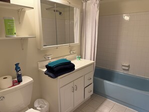 This apartment features a well-maintained bathroom with a shower/tub combination, toilet, and vanity, offering essential comfort and cleanliness.