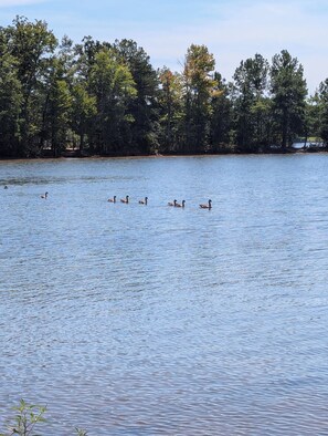 Nearby Lake Norman Park