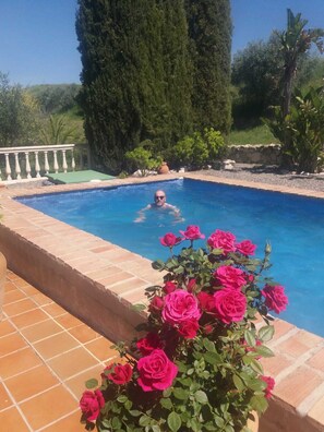Cooling dip in the pool after a relax on the sunbed. Bliss!!!